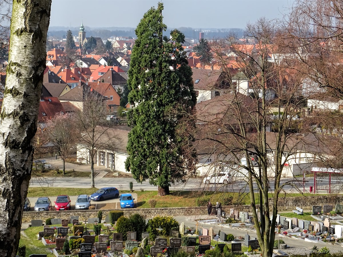Heppenheim Und Wir
